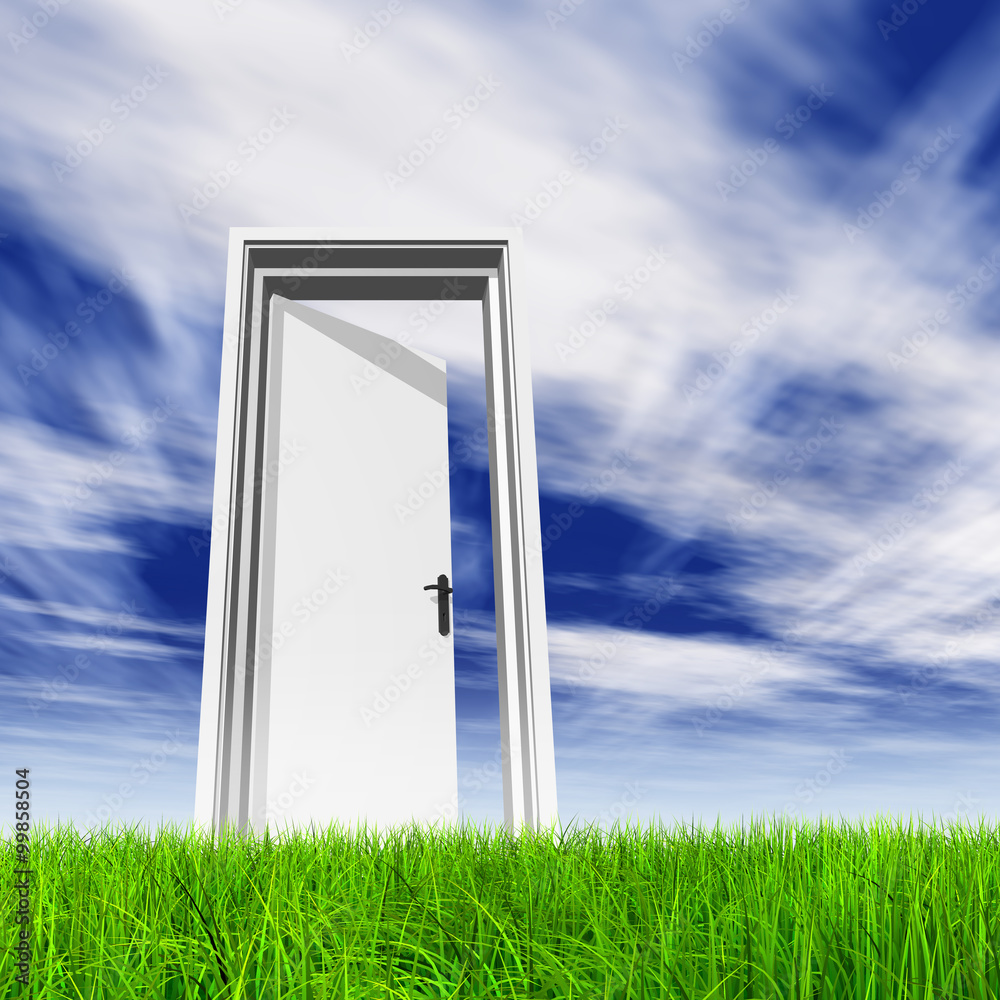 Conceptual white door in grass with sky background Conceptual white door in grass with sky background