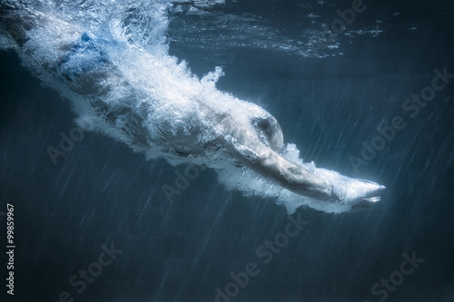 Photographie diving