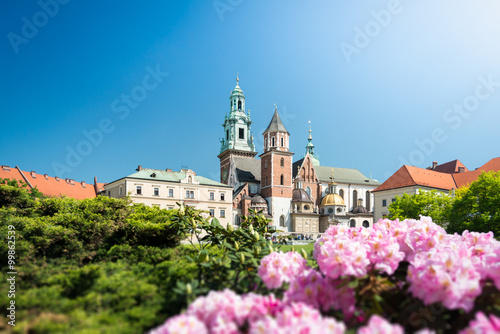 View to Wawel Cathedral in Krakow, Poland.