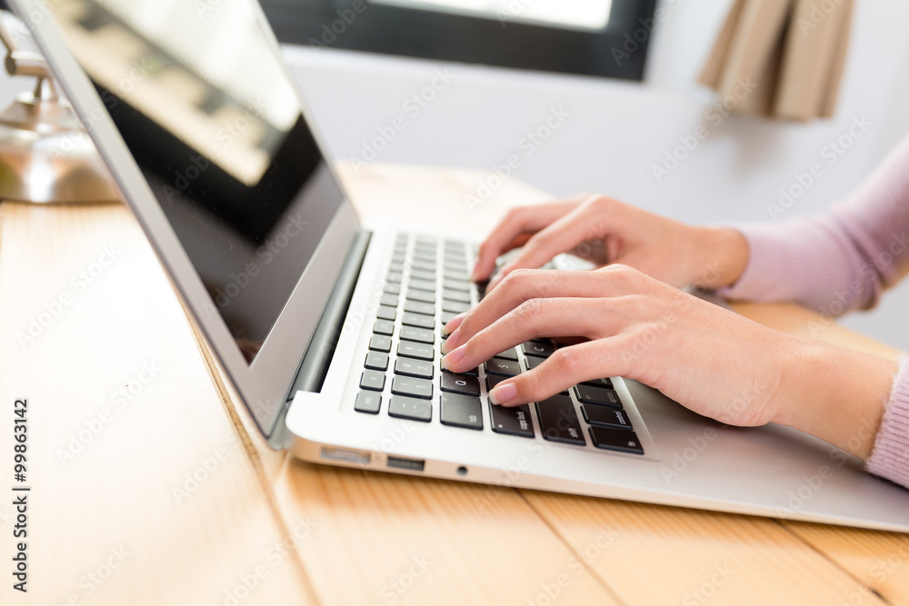 Woman use of the laptop computer Woman use of the laptop computer