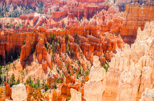 The Bryce Canyon National Park, Utah, United States