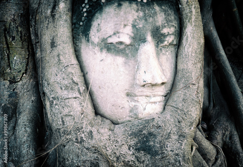 Smiling face of Buddha carved on stone in Ayutthaya 