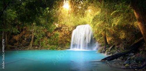 Exotic background of beautiful jungle forest with majestic water