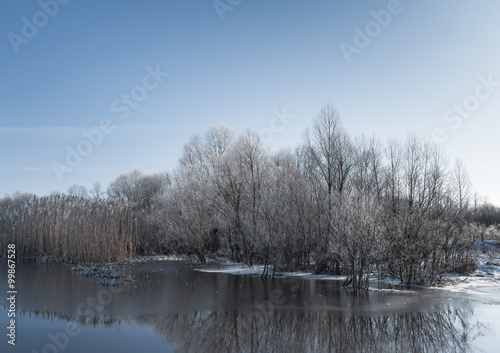 Winter lake landscape with frozen trees and bushes. Scenic seasonal background