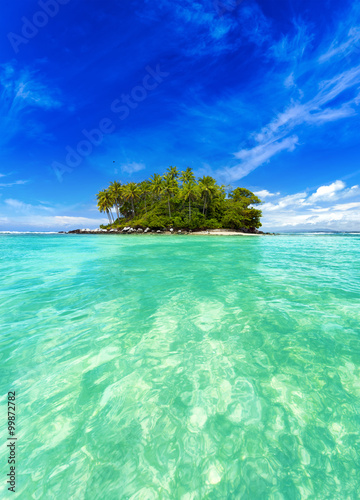 Tropical island with exotic green plants and coconut trees in clear sea water © Banana Republic