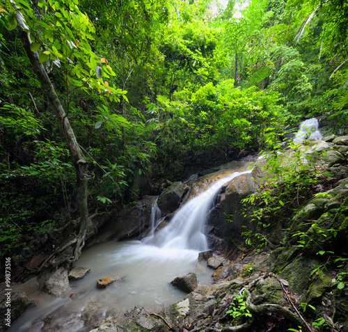 Beautiful waterfall in jungle forest with many green plants and woods