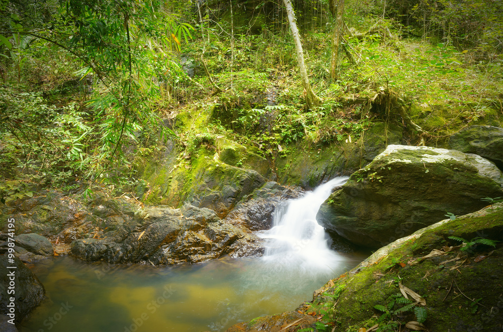 Green colours of deep forest with small waterfall