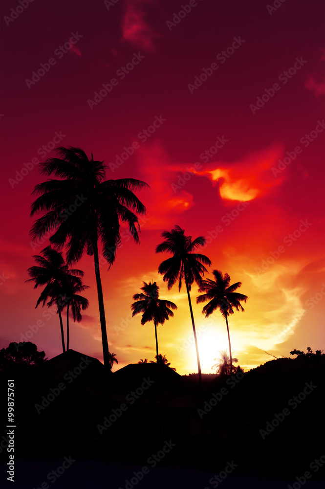 Palm tree sunset on tropical beach of Hawaii islands