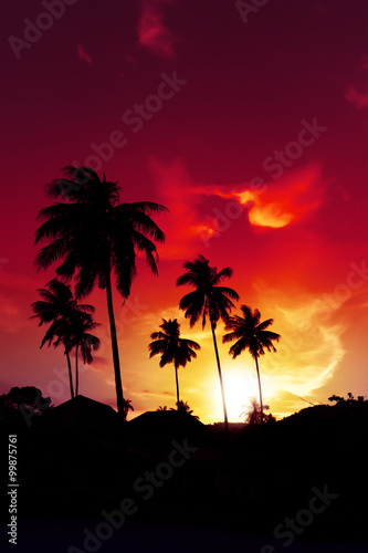 Palm tree sunset on tropical beach of Hawaii islands