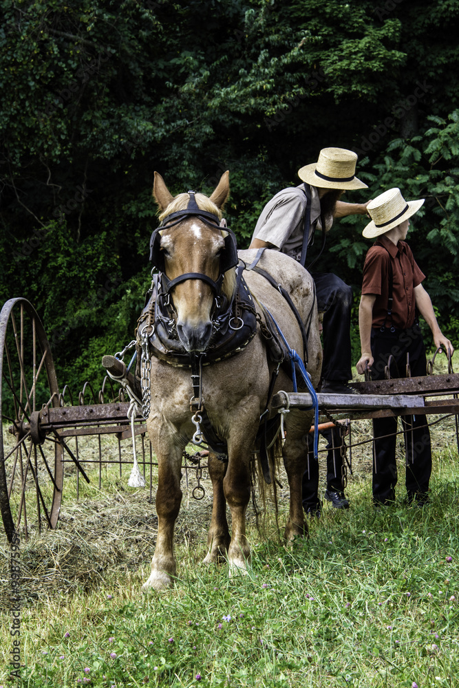 amish farther with house and rake teaching son farming amish farther with house and rake teaching son farming