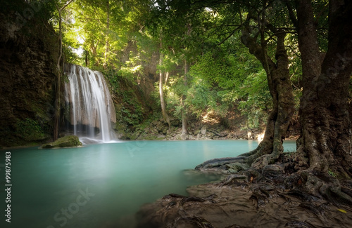 Sunlight beams and rays shine through leaves of trees in tropical rainforest park in Thailand with beautiful waterfall falling in clear pond and old big tree on foreground © Banana Republic