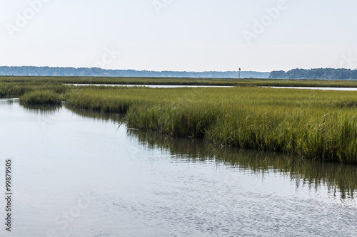 Marshland at Pleasure House Point natural area which is south of the Chesapeake Bay in Virginia Beach  Virginia. 