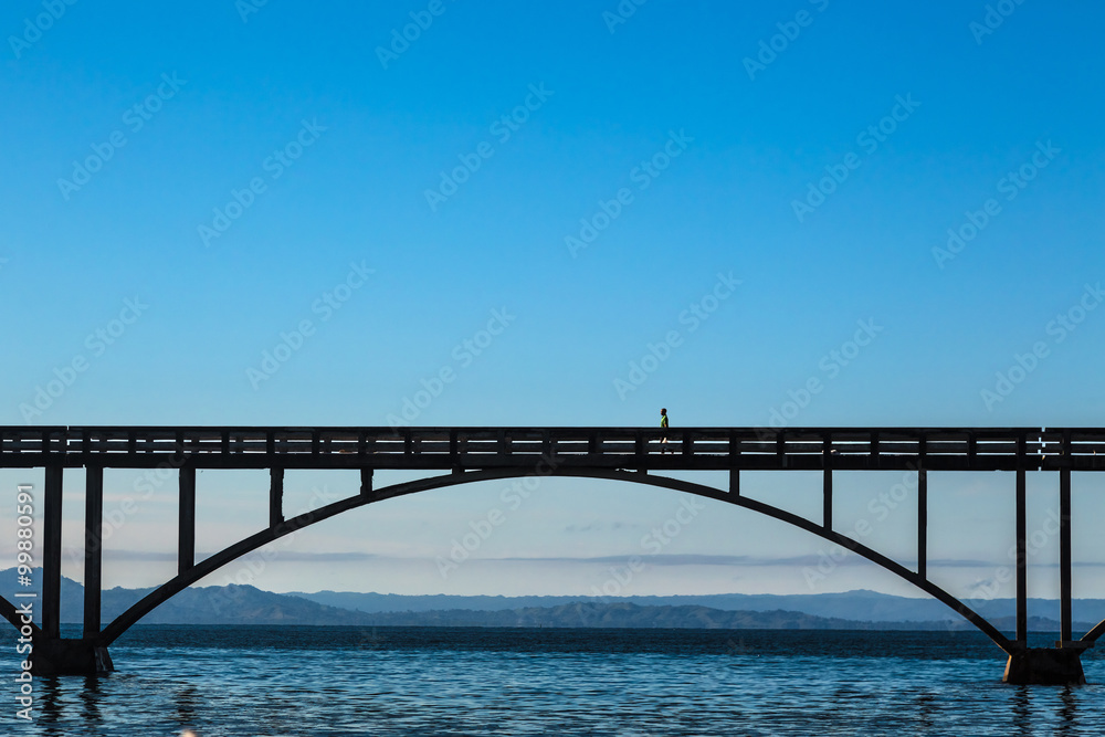 Foot-Bridge Over the Sea