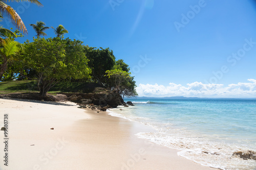 Wild caribbean beach. Samana. Dominican republic