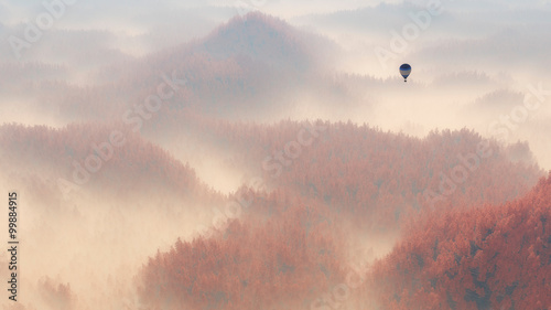 Aerial of misty autumn pine tree forest with hot air balloon.