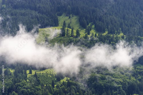 Tiefliegende Wolken vor Bergwald © M. Ritrich