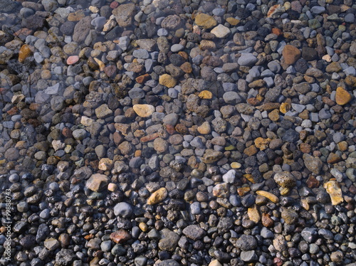 水底の小石