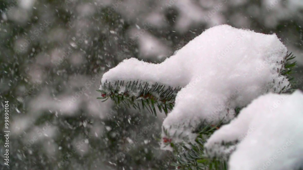 Winter landscape. Close-up Slow motion snow falling in winter tree park