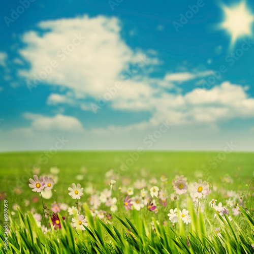 Beauty meadow with flowers and green grass under blue skies, sea