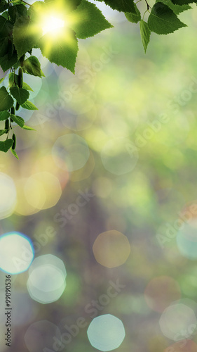 Beauty spring day, abstract seasonal backgrounds with green foli