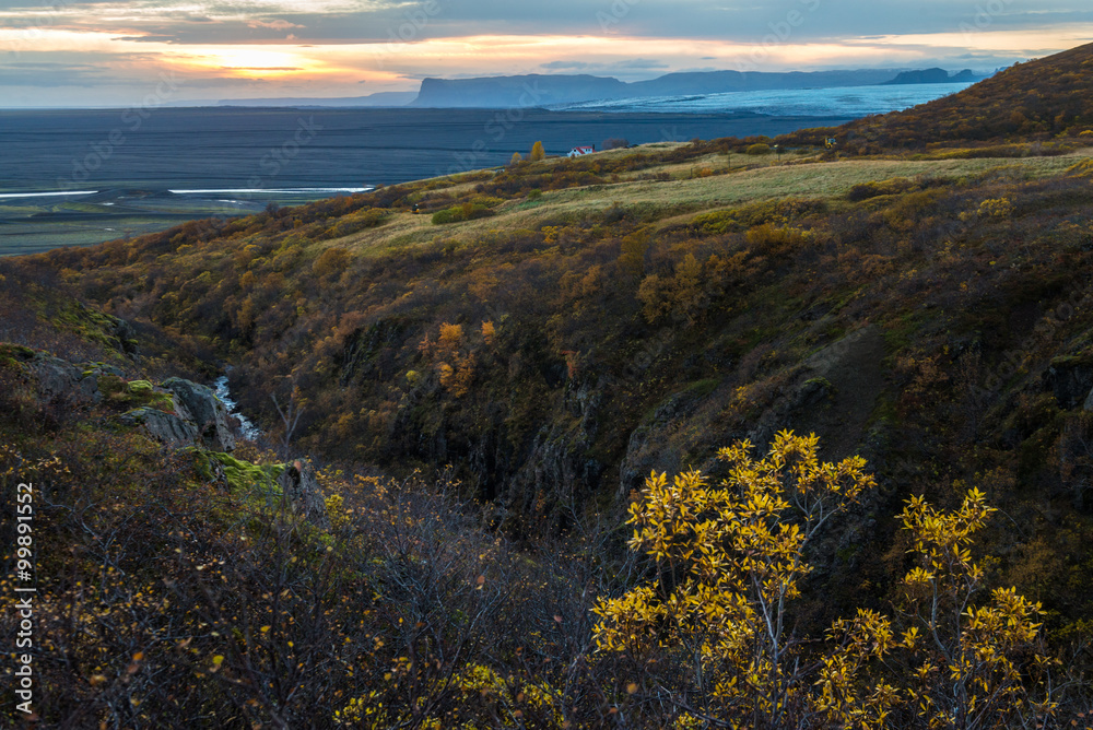Obraz premium Dramatic view of green field hill with yellow plant foreground and glacier mountain range background during sunset in Autumn season Iceland
