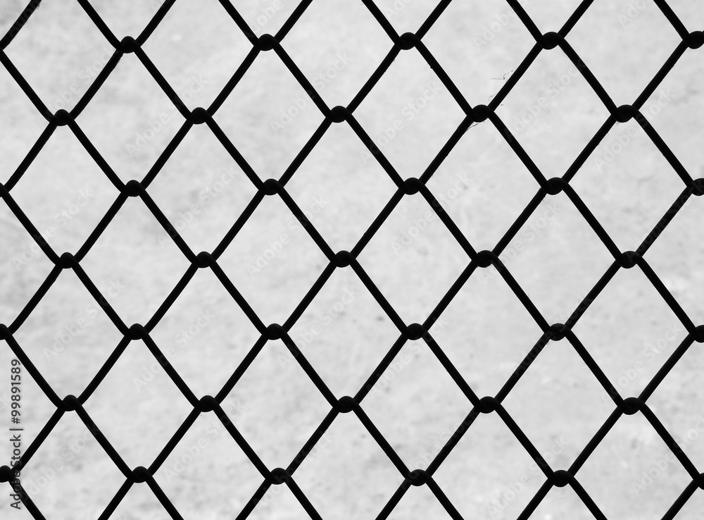 Fototapeta premium wire mesh