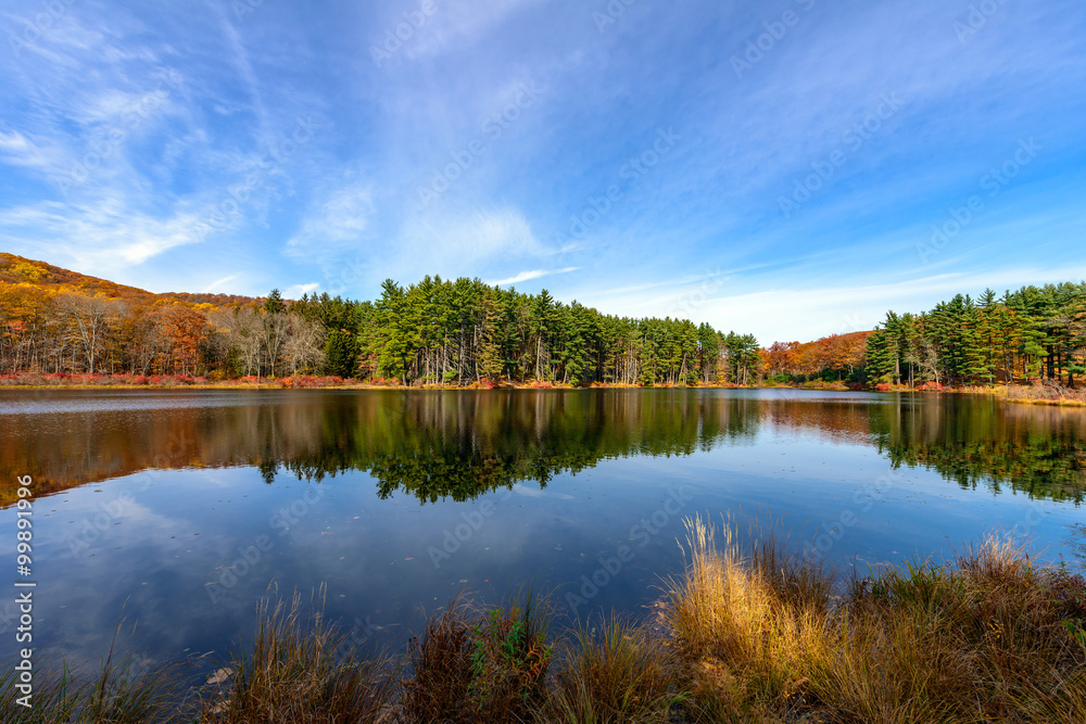 Reflection,Lake Nawahunta New Jersey