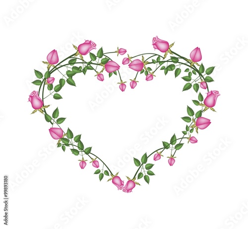 Beautiful Pink Roses Flowers in Heart Shape © Iamnee