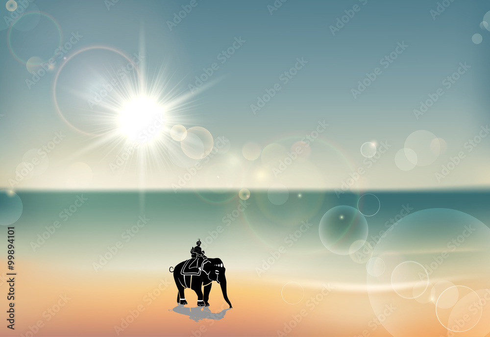 Elephant and Rider under Sunset 