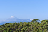 Mount Fuji and Senbonmatsubara