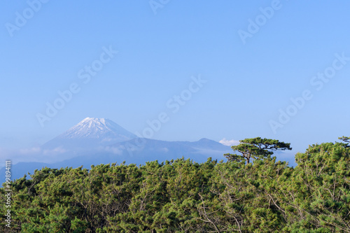 Mount Fuji and Senbonmatsubara © T-Kai