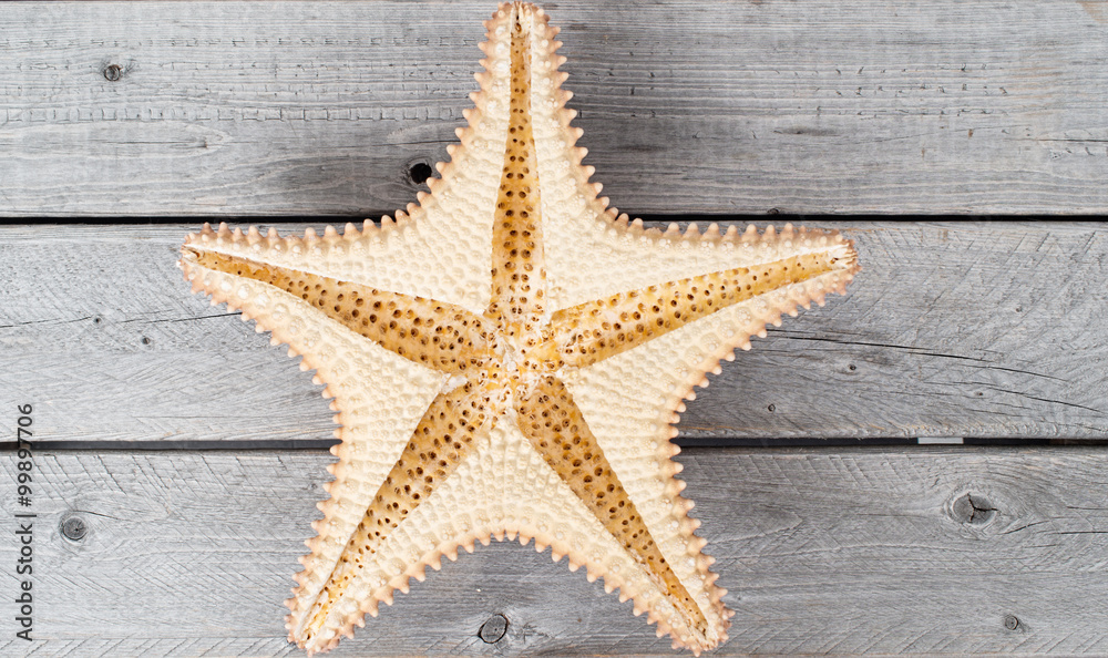 Caribbean starfish upside down, cleaned up on a wooden table Caribbean starfish upside down, cleaned up on a wooden table