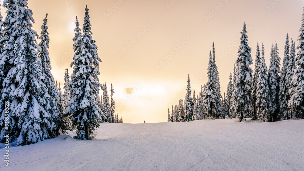 Obraz premium Sun breaking through the clouds on a ski hill in central British Columbia. Snow covered trees surrounding the ski runs