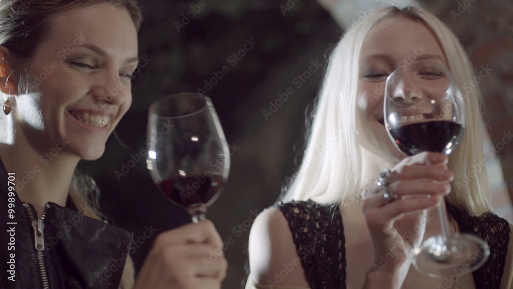 Lesbian couple making a toast with wine slow motion Lesbian couple making a toast with wine slow motion