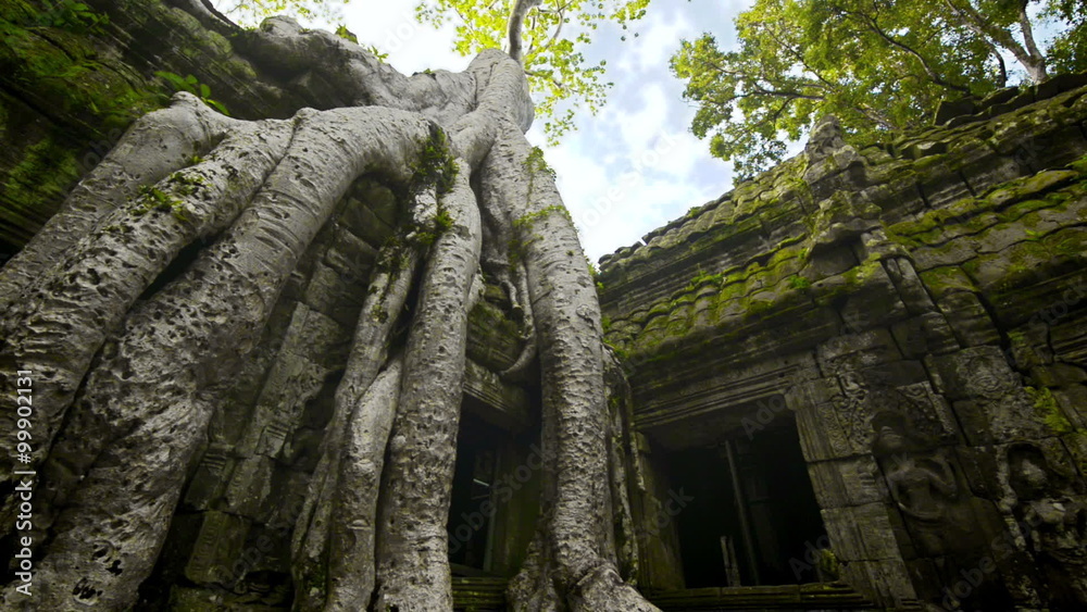 Ta prohm temple Unesco world heritage site  dolly  