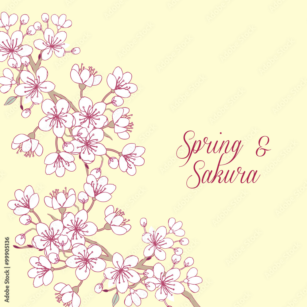 Background with sakura. Hand drawn spring blossom trees. Vector illustration with cherry blossoms.