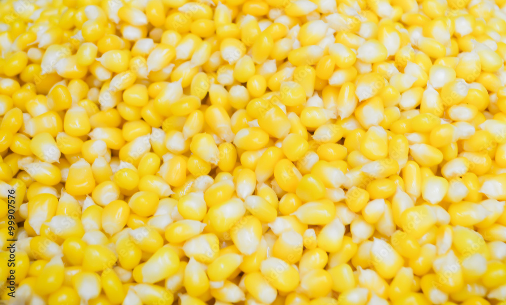corn kernels corn kernels