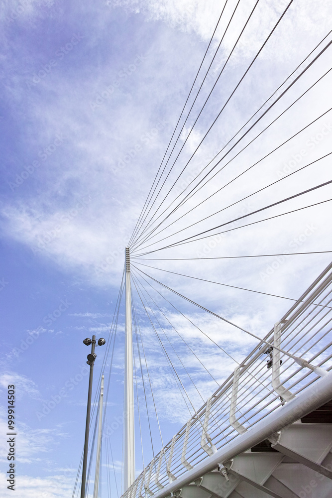 Fototapeta premium suspension bridge