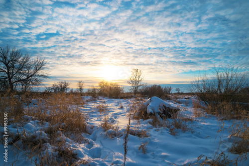 Winter forest and lake