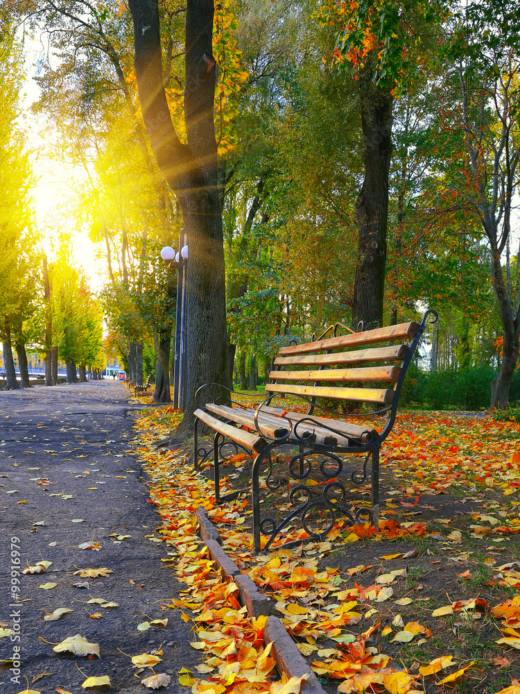 Empty bench in the autumnal park