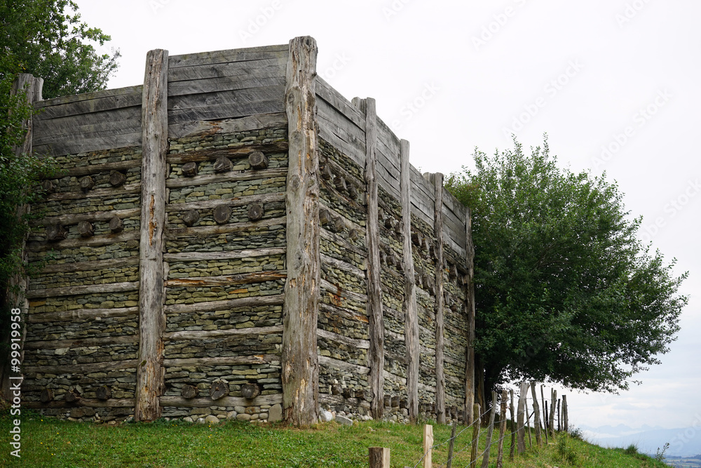 Fortress on the Wistenlacherberg