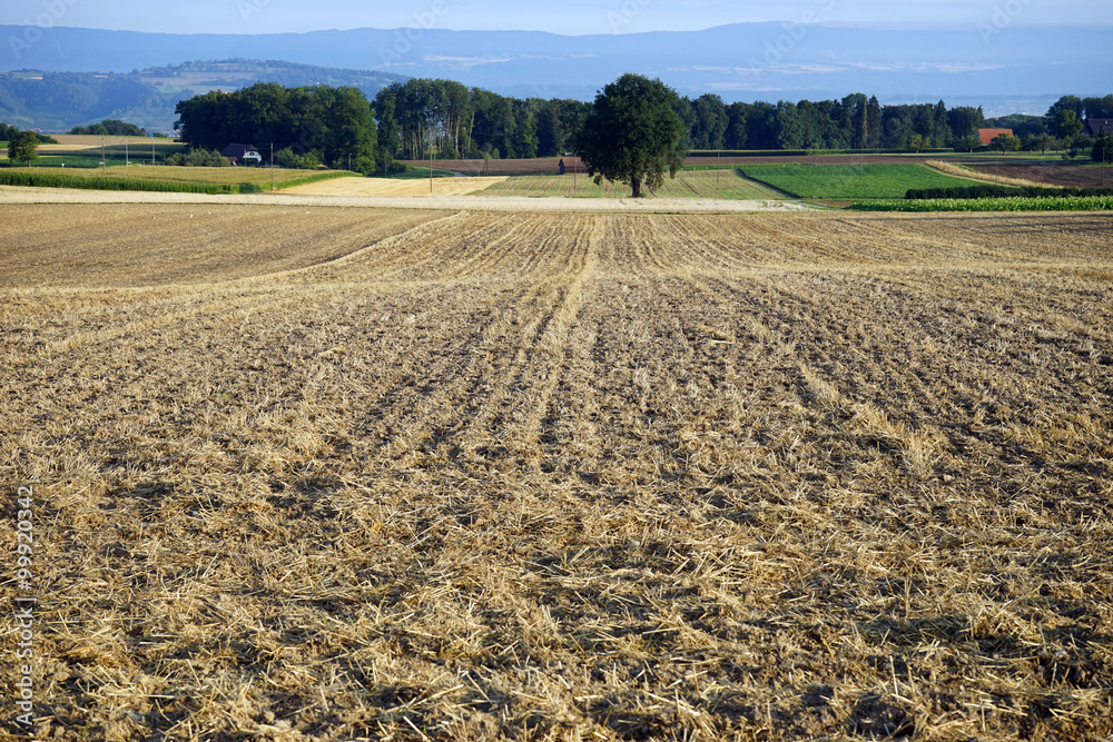 Plowed land Plowed land