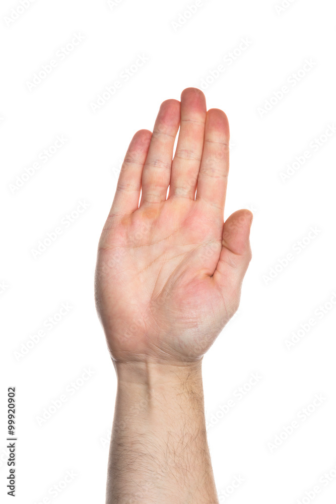 Hand palm Hand palm