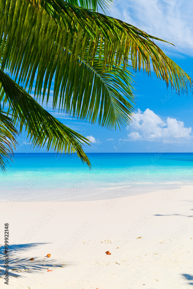 Fototapeta premium Tropical beach. The Seychelles