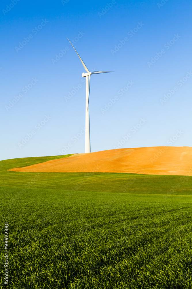 Modern windmill in a beautiful meadow.
