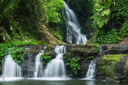 Waterfall in Lamington National Park in Queensland, Australia.