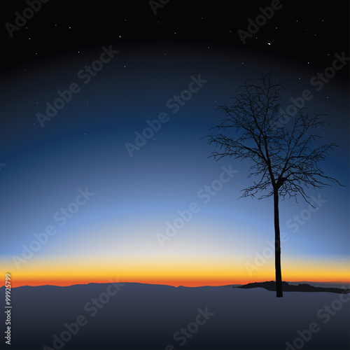 tree on sunset background