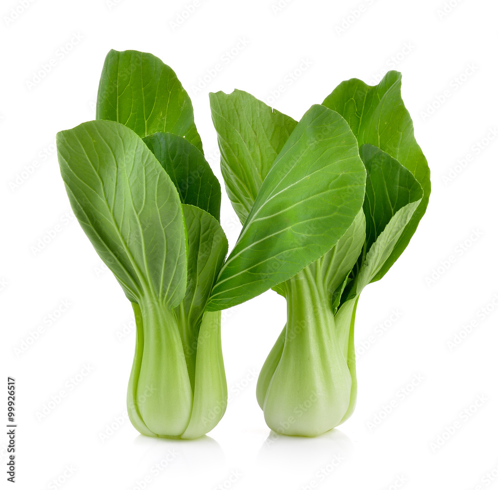 Bok choy vegetable on white background Bok choy vegetable on white background