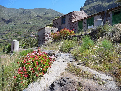 abandoned house above masca gorge at tenerife photo