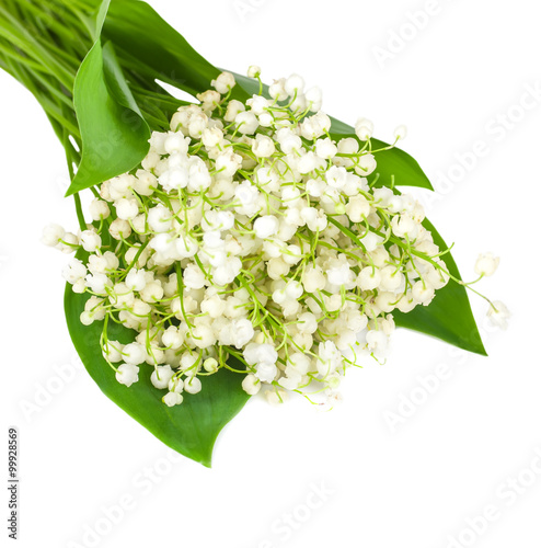 Bunch of white lily of the valley isolation